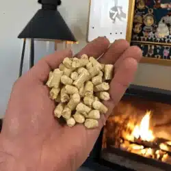 Hånd der holder træpiller